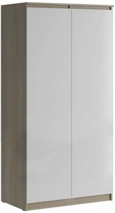 Челси Шкаф 2-х створчатый платяной (Белый глянец, Белый)