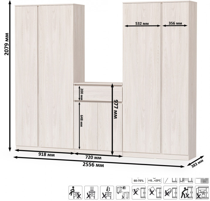 КР100 Ника прихожая № 10, цвет ясень анкор светлый, ШхГхВ 255,6х38,3х207,9 см., универсальная сборка