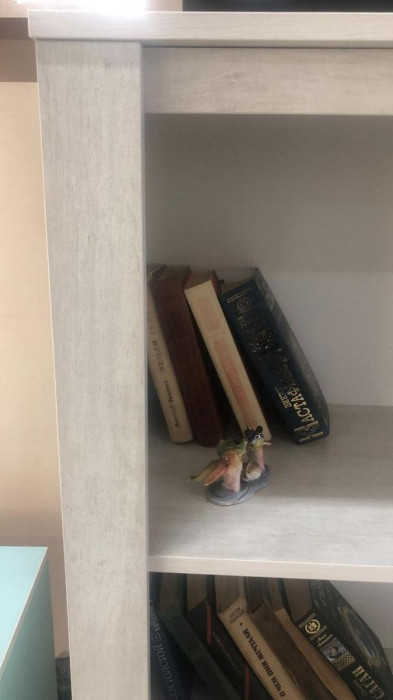 Шкаф-стелаж низкий Твист 08