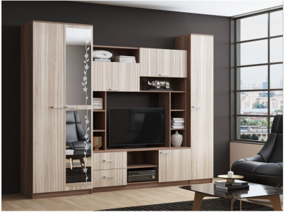 Гостиная Флора-4 ЛДСП (Ясень шимо темный / светлый)